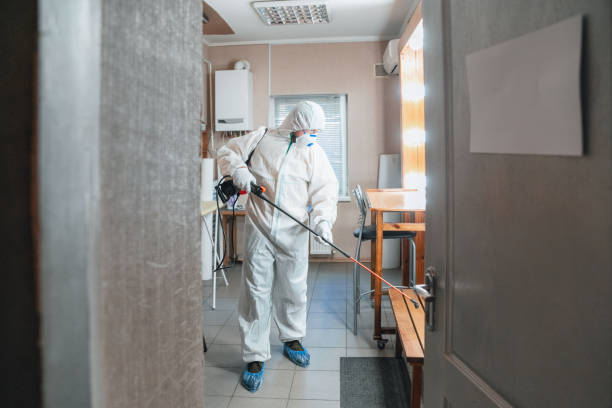 Best Mold Remediation for Healthcare Facilities  in Siesta Acres, TX